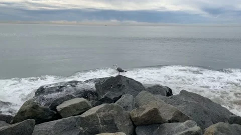 Rocky Shore Video stock 169881681