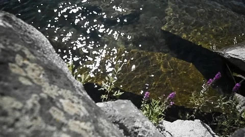 Rocky shore of Lake. The reflection of the sun in the waves Stock Footage 64467367
