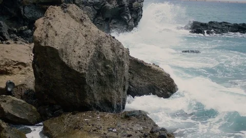 Rocky shore in the ocean Stock-Footage 75945769