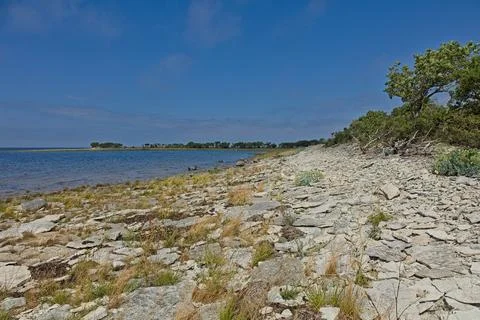 Rocky shore. Stock Photos