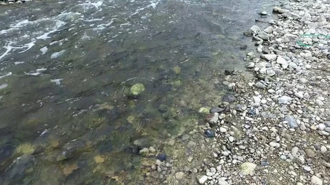 Rocky shore, rivers. Fast current. Stock Footage 77004524