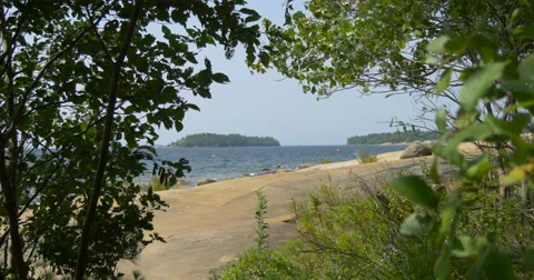 Rocky shore seen through trees on a windy day at Killbear Provincial Park Stock Footage 58814879