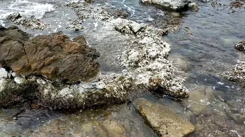 Rocky shore with small waves in winter, sky with clouds Stock Footage 128126974