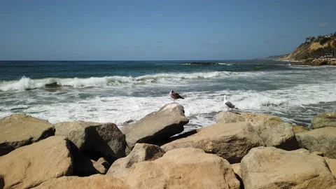 Rocky Shoreline Stock Footage 170264679
