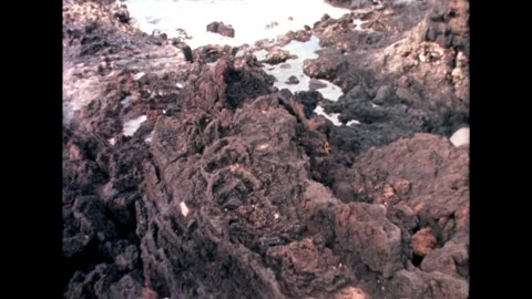 Rocky Shoreline Video stock 278217000