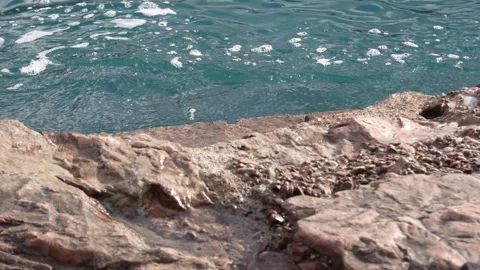 Rocky Shoreline Splashed by Waves. Stock Footage 263962898