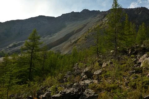 Rocky slopes of a high mountain range with cedars growing on it on a cloudy.. Stock Photos
