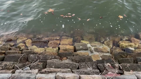 Rocky steps Stock Footage 169328845