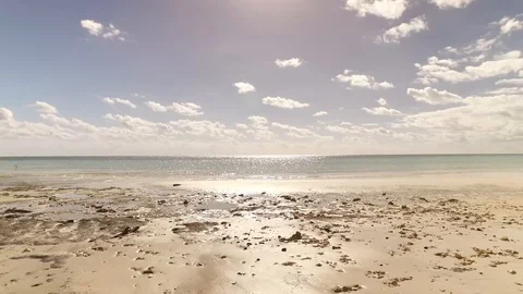 Rocky Sting Ray Beach Freeport Bahamas Stock Footage 99521196