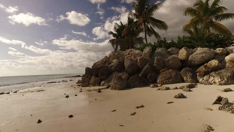 Rocky Sting Ray Beach Freeport Bahamas Stock Footage 99521265
