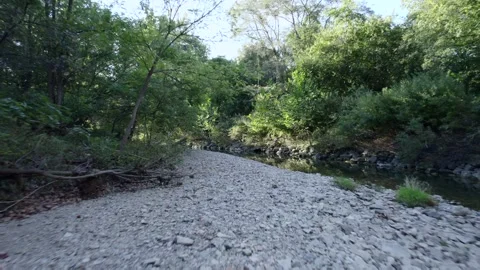 Rocky Stream Bank Stock Footage 239290713