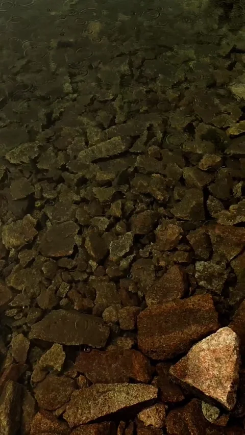Rocky stream bed with clear water in the High Tatras Rysy Mountains Stock Footage 277657351