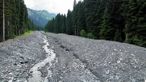 Rocky stream bed cutting through a dense forest valley Video stock 347402915
