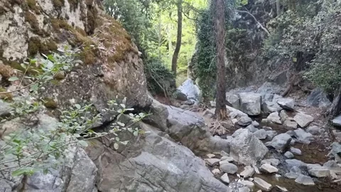 Rocky stream bed in forested Cyprus gorge Stock Footage 328098375