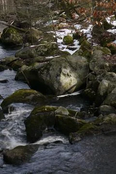 Rocky stream bed Stock Photos