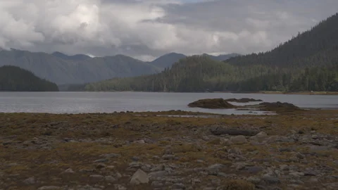Rocky stream beside lake with Pine Trees surrounding and fog topped mountains in Stock Footage 255318014