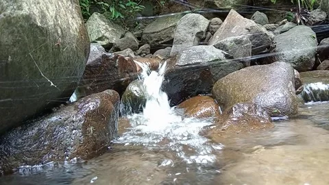 Rocky Stream Close Up with Fast Flowing Water in Tropical Forest Stock Footage 330582020