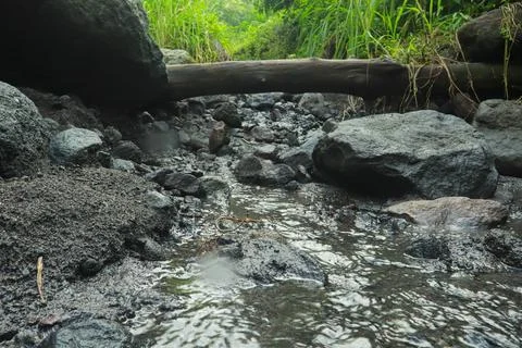 Rocky Stream Close-Up Stock Photos