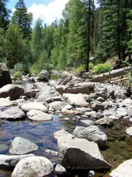 Rocky stream with fallen log Foto stock
