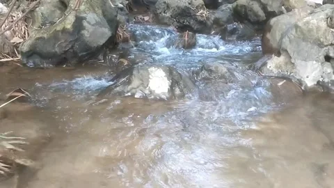 Rocky Stream Flow Видео 334798495