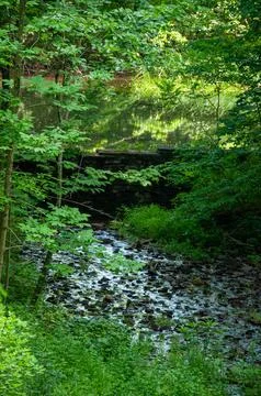 A rocky stream flowing beneath a rustic stone wall in a forest Stock Photos