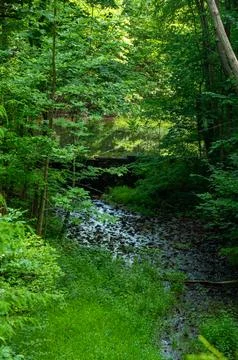 A rocky stream flowing beneath a rustic stone wall in a forest Stock Photos