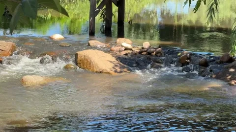 Rocky stream flowing in Cambodia Stock Footage 336781674