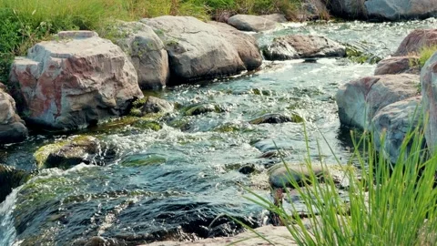 Rocky Stream Flowing Through Creek Bed Video stock 345055881