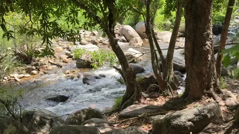 Rocky stream flowing through rainforest in Cambodia 库存影片 336781809