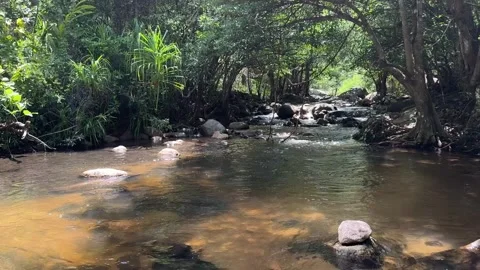 Rocky stream flowing through rainforest in Cambodia 動画素材 336781819