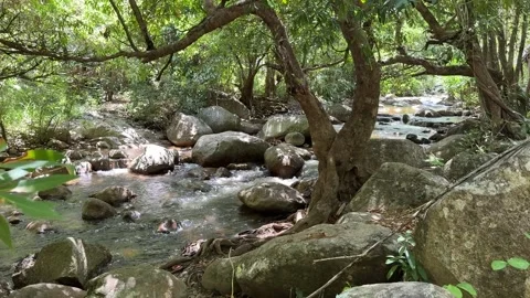Rocky stream flowing through rainforest in Cambodia Stock Footage 336781821