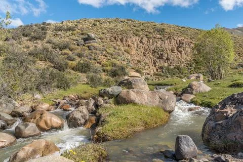 A rocky stream flows through a grassy area Stock Photos