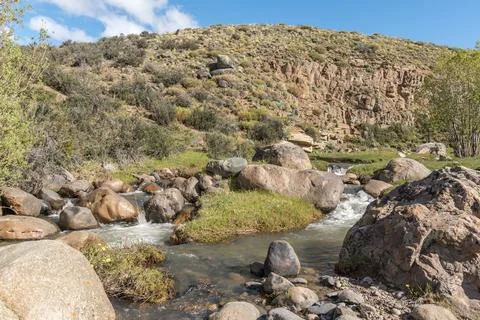 A rocky stream flows through a grassy area Stock Photos