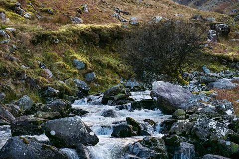 A rocky stream flows through a sparsely vegetated landscape. Stock Photos