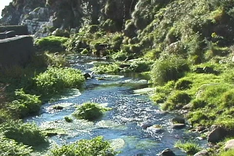 Rocky Stream 스톡 동영상 362372