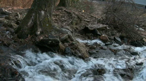 Rocky Stream Stock Footage 841426