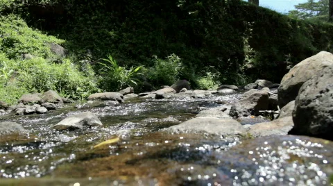 Rocky Stream 库存影片 870330