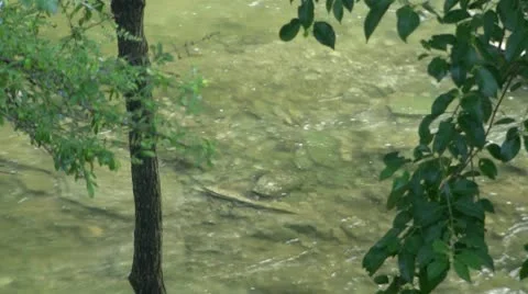 Rocky Stream Video stock 10586797