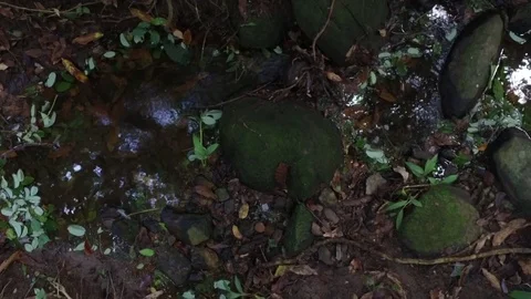 Rocky Stream 스톡 동영상 84431072