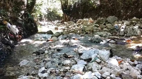 Rocky Stream Stock Footage 330585790