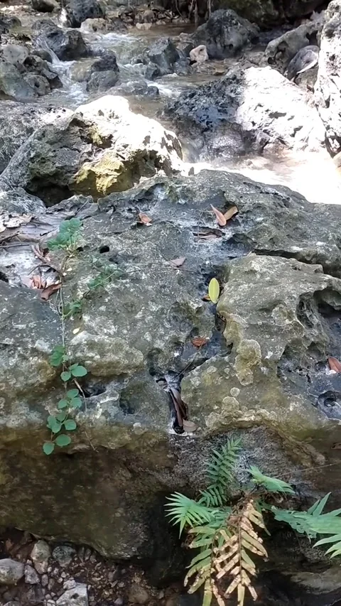 Rocky Stream Stock Footage 331106963