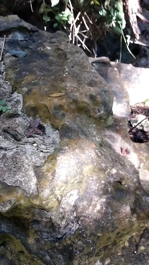 Rocky Stream Stock Footage 331107187