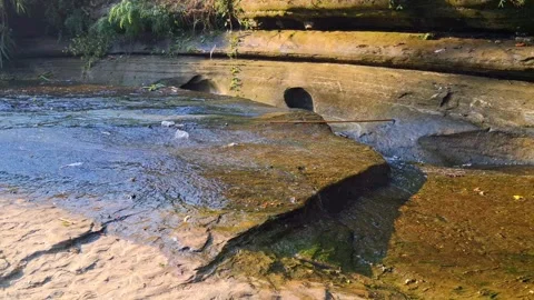 Rocky Stream in Forest Vídeo Stock 331657735