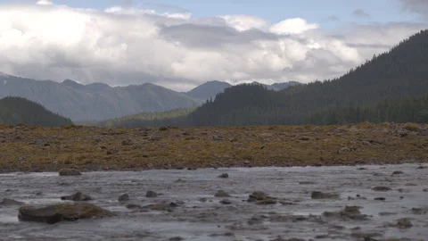 Rocky stream in front of Lake with tree covered mountains in background Stock Footage 255318401