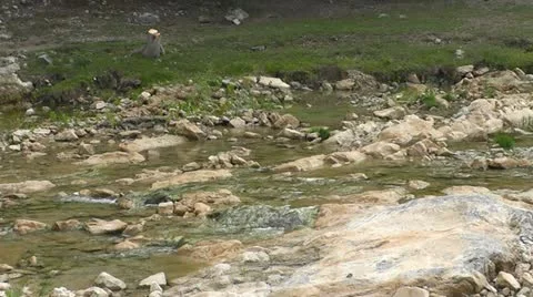 Rocky Stream I Stock Footage 12402434