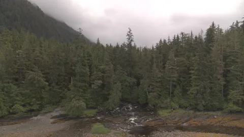 Rocky stream into Lake with Pine Trees and Mountains in Background drone Stock Footage 255144799