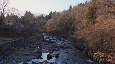 Rocky Stream With Low Water Level and Bare Trees in Japan Stock Footage 344537914