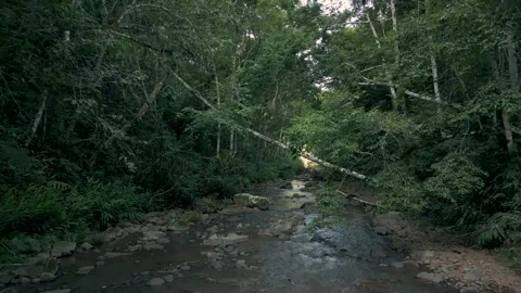 A rocky stream in the middle of a forest. Stock Footage 332260710