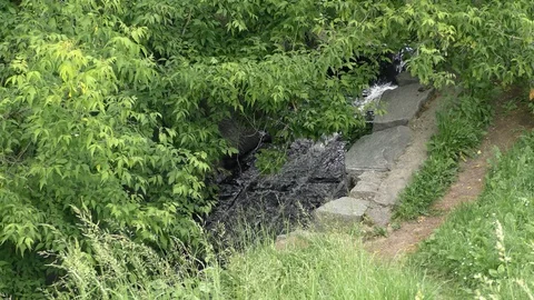 Rocky stream in the park Stockbeeldmateriaal 91250765