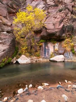 Rocky stream Stock Photos
